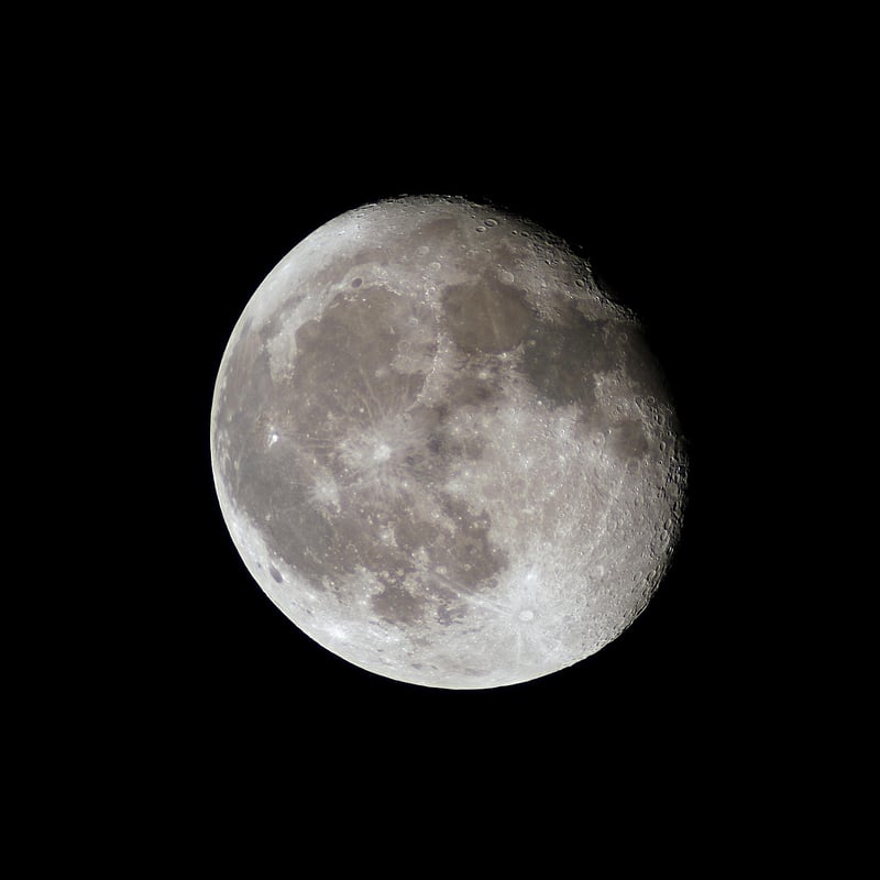 Lunar-inspired Menu